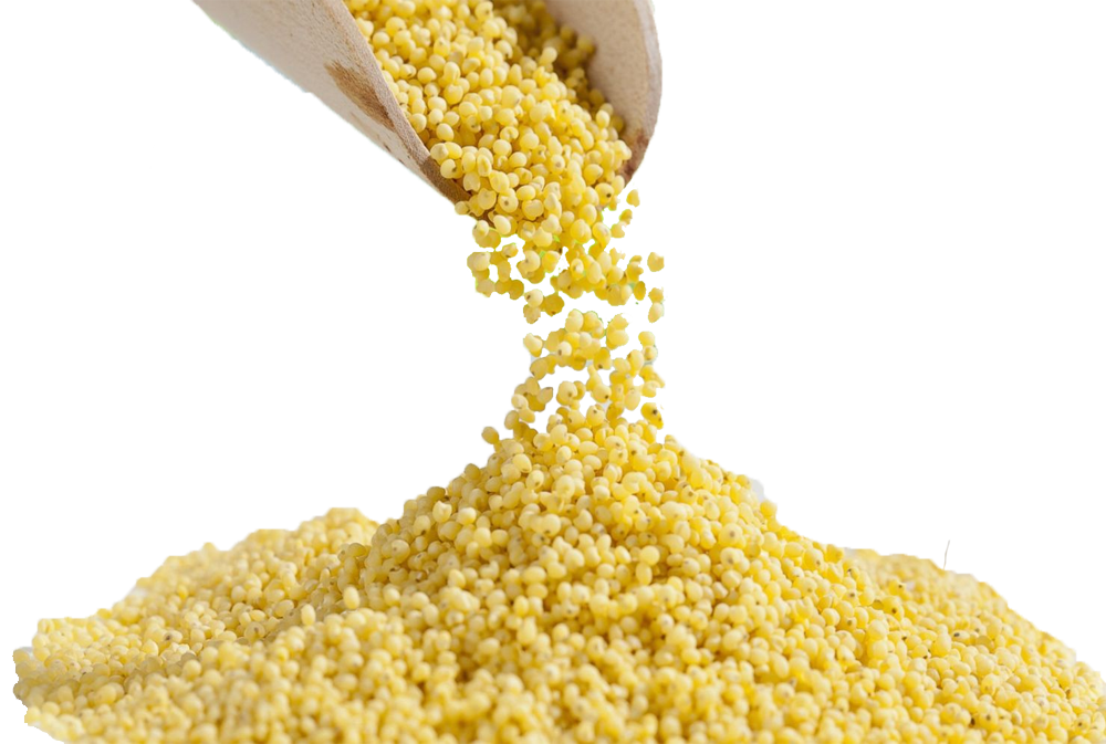 Top Quality Organic is available in Hi Mango